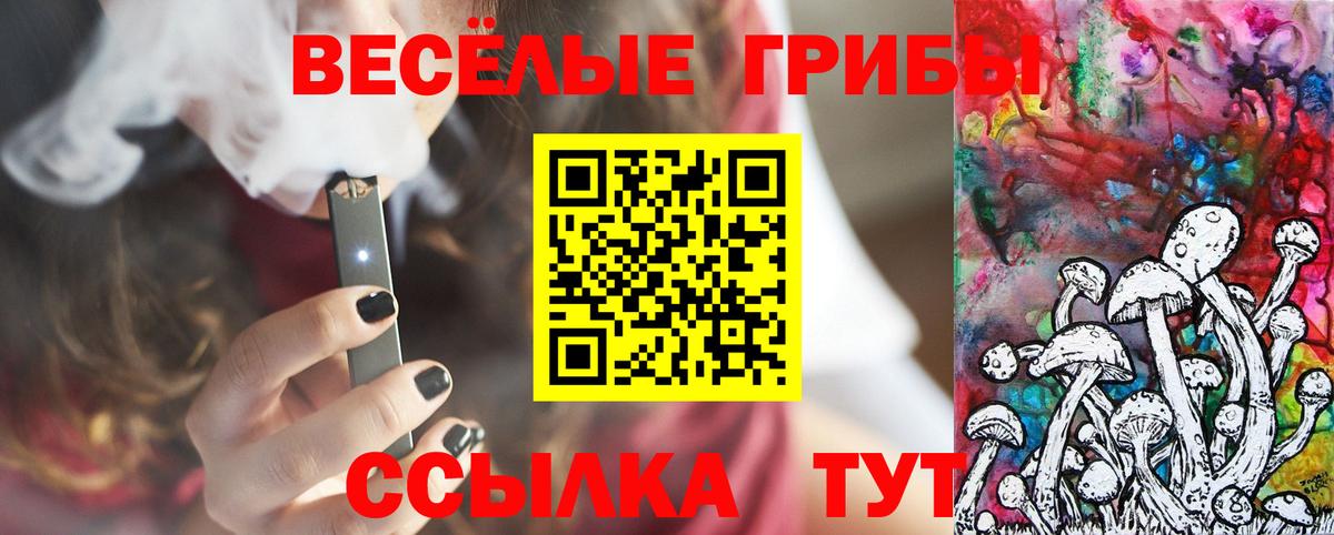 Кинель  Галлюциногенные грибы MAGIC MUSHROOMS  где купить   Вход с VPN  Псилоцибиновые грибы мухоморы 